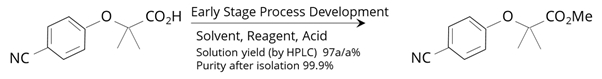 5 Early Stage Process